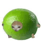 图片[10]-千万网红扶贫被骗18w，这下真成小丑了？-吃瓜网