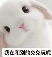 图片[2]-某地火锅店推出美女旗袍服务员，颜值身材都是顶级，价格亲民受到网友热议~-吃瓜网